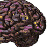 Insights Discovery für Führungskräfte: Jeder kann Führen. Ein Workshop von Katja Krieger.