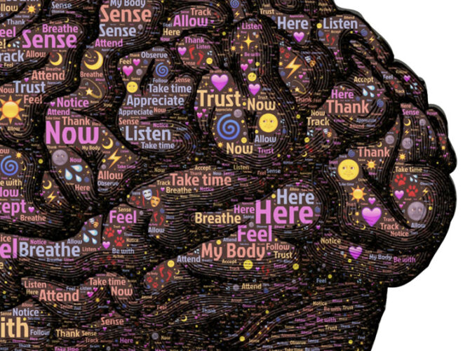 Insights Discovery für Führungskräfte: Jeder kann Führen. Ein Workshop von Katja Krieger.